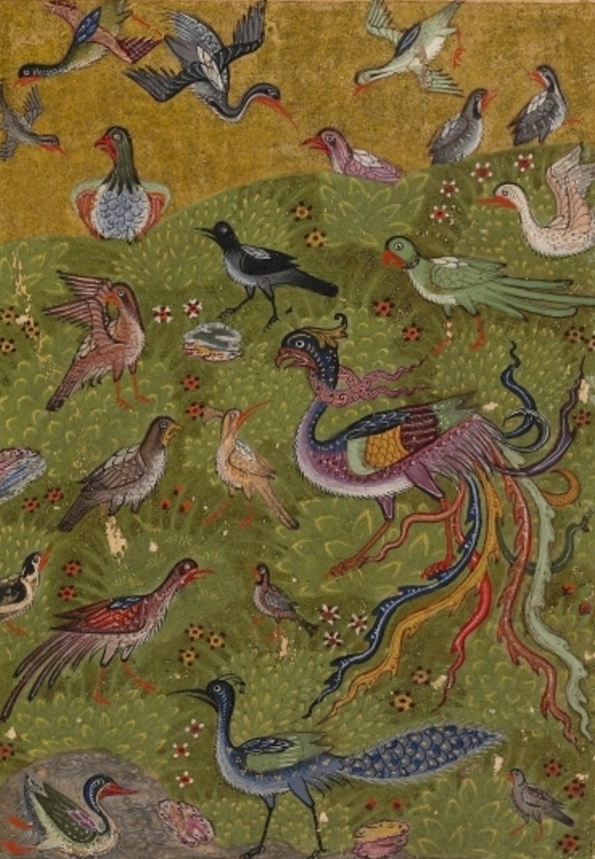 Parliament of birds. ‘Attar, Mantiq al-Tayr (Conference of the Birds), dated AH 898 (1493-94 CE). Bodleian Library MS Elliott 246, fol. 25v